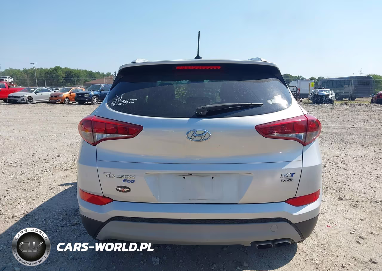 2017 Hyundai Tucson Eco VIN:KM8J3CA23HU273298 - 16