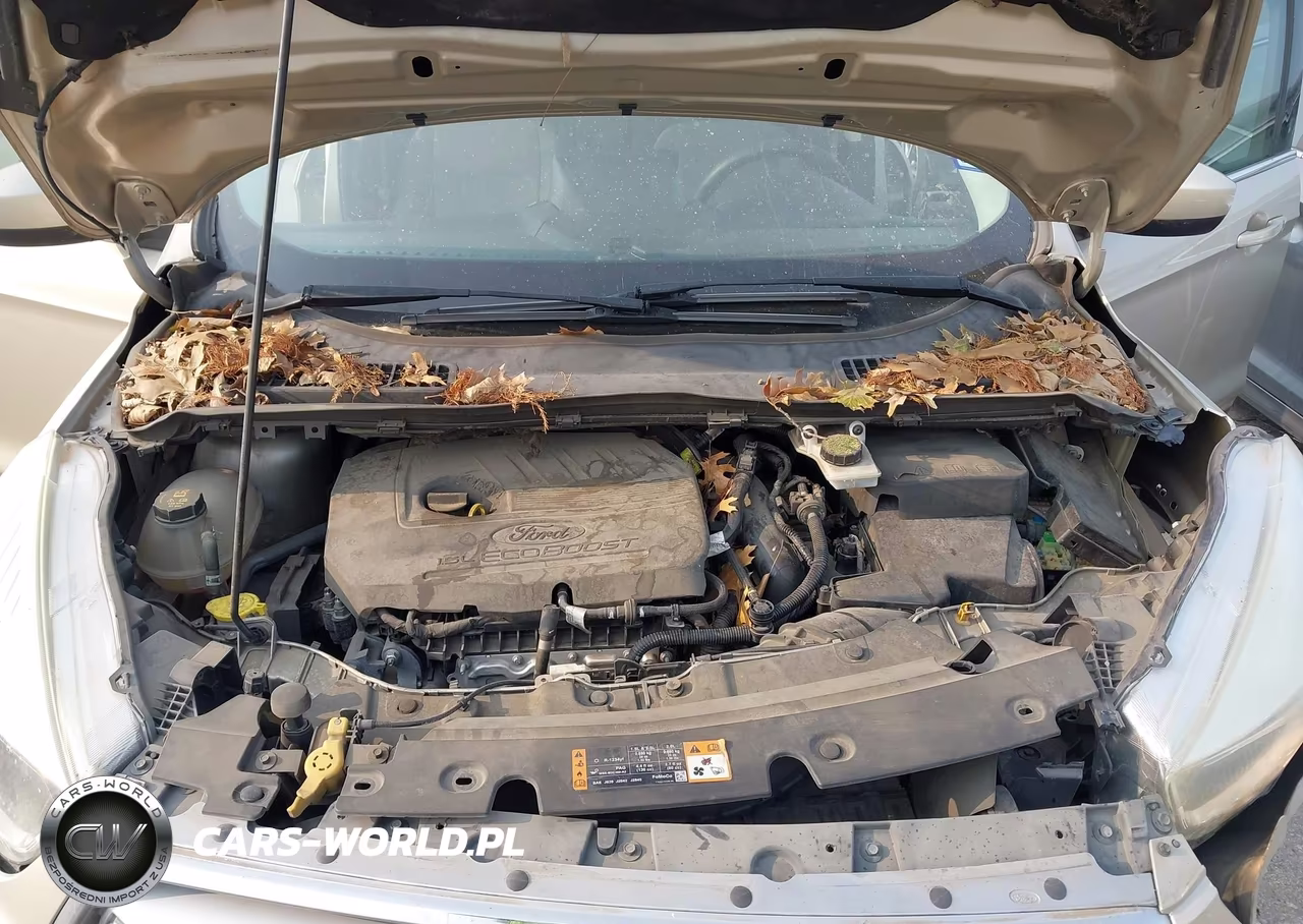 2017 Ford Escape Se VIN:1FMCU0GD7HUA60805 - 10