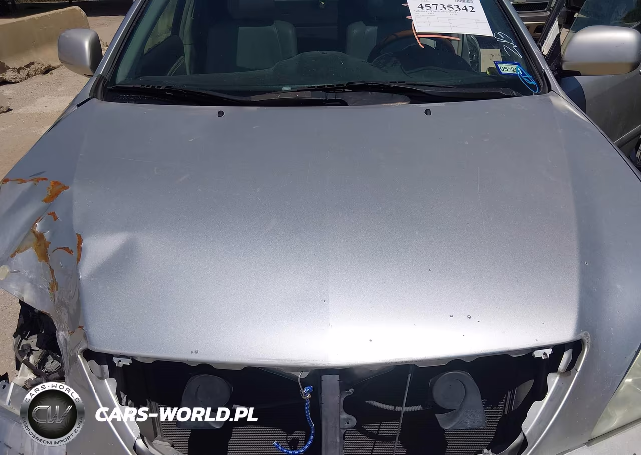 2004 Lexus Rx 330 VIN:JTJGA31U440029387 - 10
