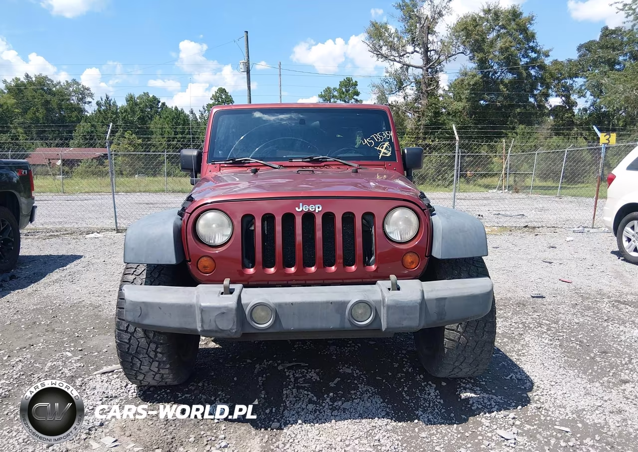 2009 Jeep Wrangler Unlimited X VIN:1J4GA39119L786941 - 12