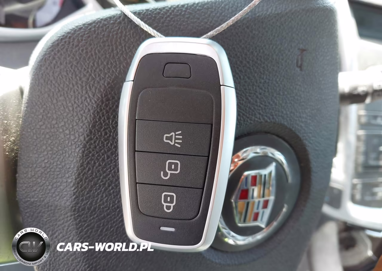 2010 Cadillac Srx Luxury Collection VIN:3GYFNDEY6AS653650 - 11