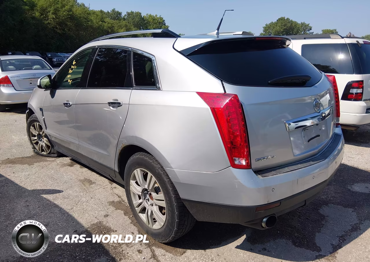 2010 Cadillac Srx Luxury Collection VIN:3GYFNDEY6AS653650 - 3