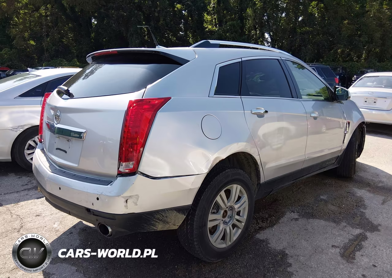 2010 Cadillac Srx Luxury Collection VIN:3GYFNDEY6AS653650 - 4
