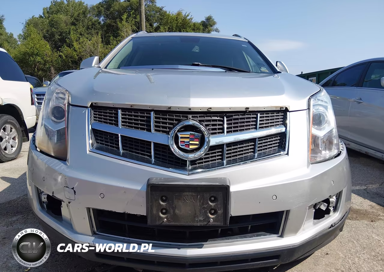 2010 Cadillac Srx Luxury Collection VIN:3GYFNDEY6AS653650 - 6