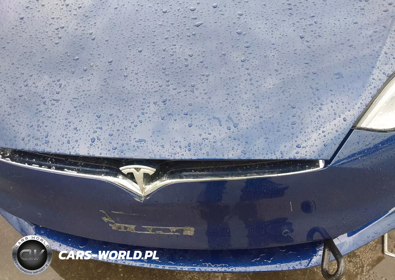 2016 Tesla Model S 60D-70D-75D-85D-90D VIN:5YJSA1E21GF144755 - 10