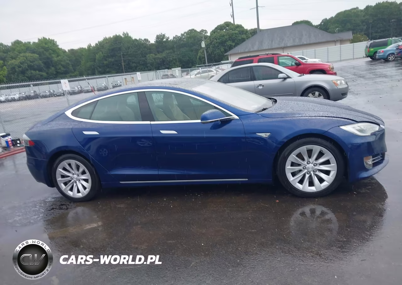 2016 Tesla Model S 60D-70D-75D-85D-90D VIN:5YJSA1E21GF144755 - 13