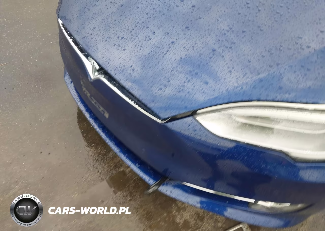 2016 Tesla Model S 60D-70D-75D-85D-90D VIN:5YJSA1E21GF144755 - 6