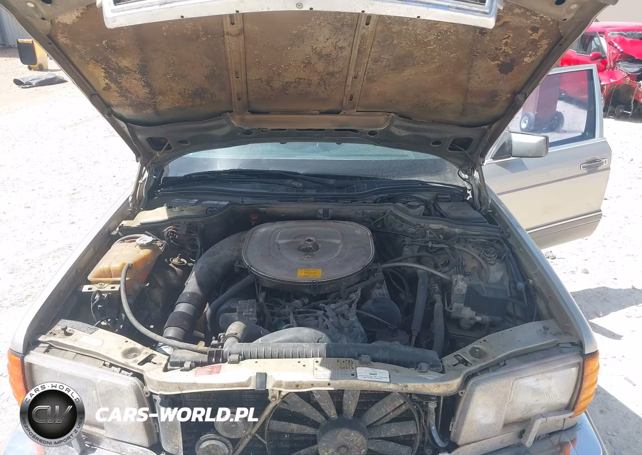 1986 Mercedes-Benz 420 Sel VIN:WDBCA35D1GA227983 - 10