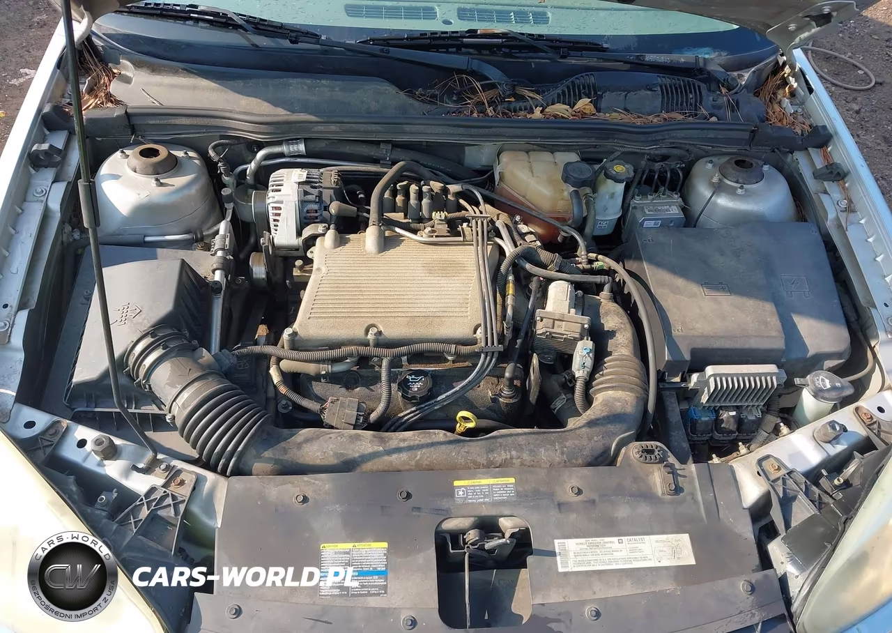 2004 Chevrolet Malibu Lt VIN:1G1ZU54824F103280 - 10