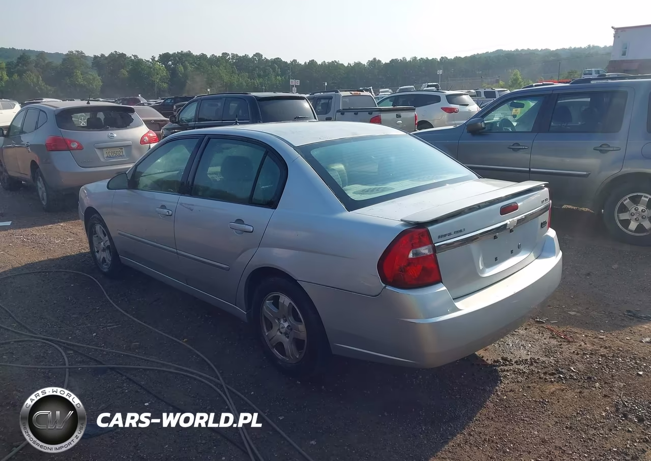 2004 Chevrolet Malibu Lt VIN:1G1ZU54824F103280 - 3