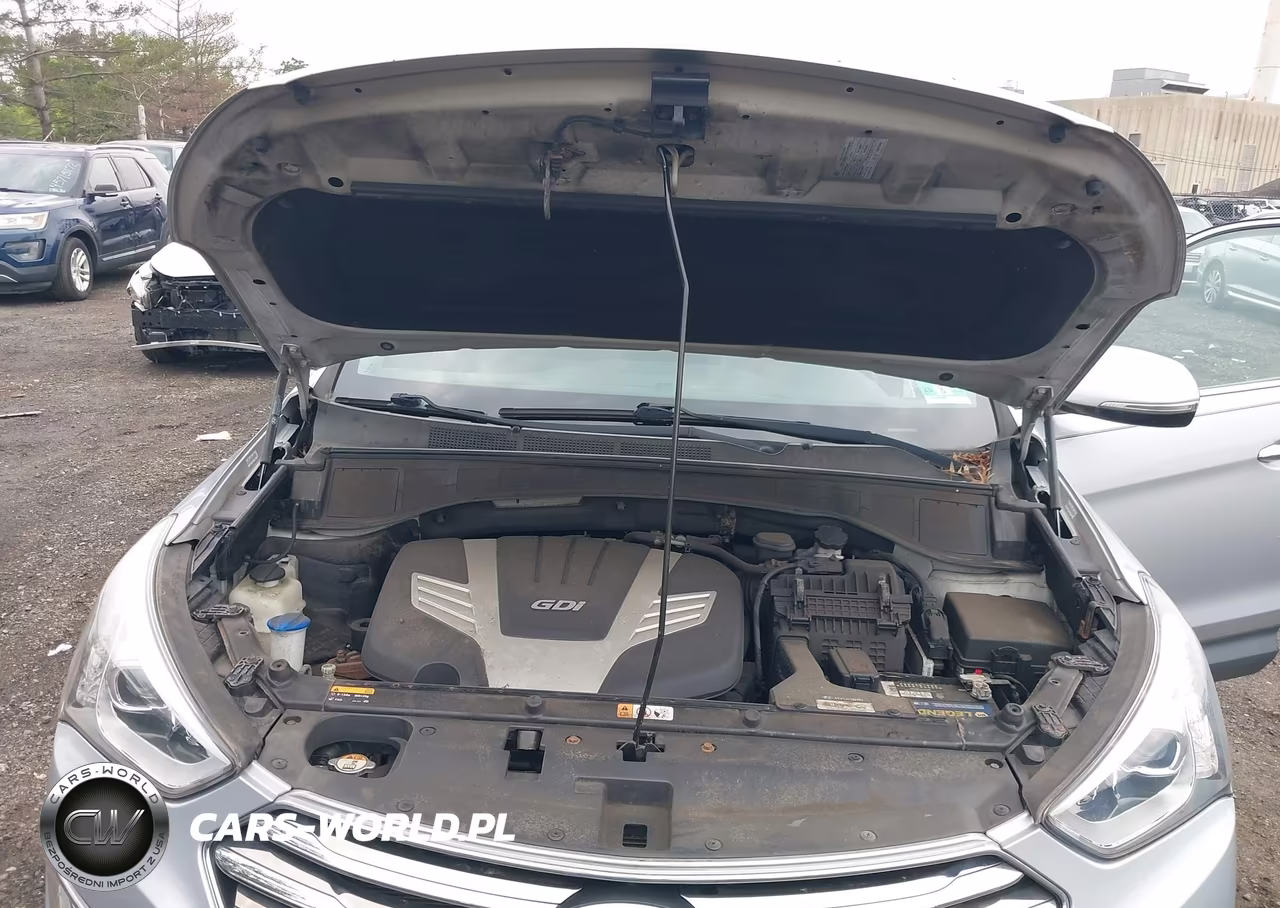 2014 Hyundai Santa Fe Gls VIN:KM8SN4HFXEU074743 - 10