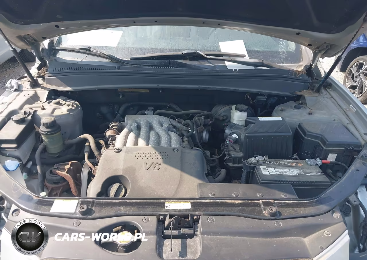 2009 Hyundai Santa Fe Gls VIN:5NMSG13D69H234455 - 10