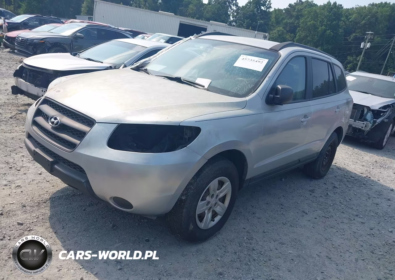 2009 Hyundai Santa Fe Gls VIN:5NMSG13D69H234455 - 2