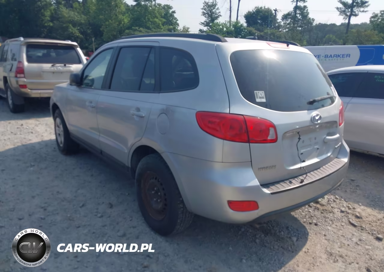 2009 Hyundai Santa Fe Gls VIN:5NMSG13D69H234455 - 3
