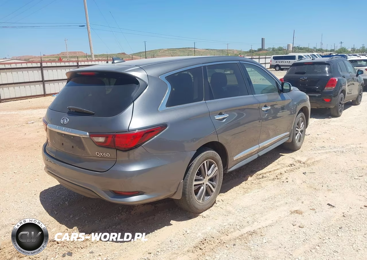 2019 Infiniti Qx60 Pure VIN:5N1DL0MM3KC531938 - 4