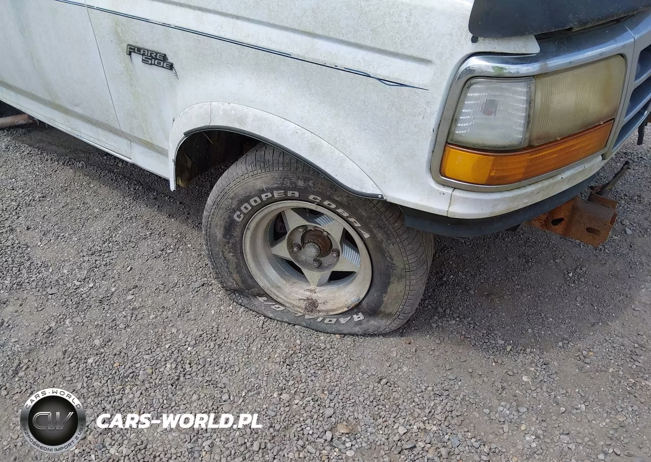 1995 Ford F150 VIN:1FTEX15N8SKC05388 - 12