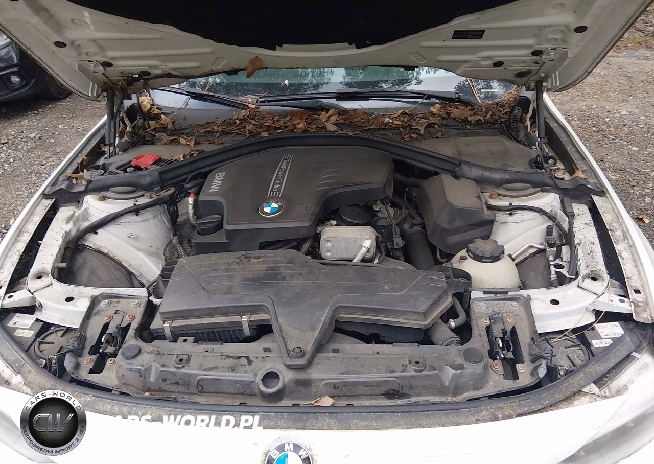 2014 BMW 428I xDrive VIN:WBA3N5C52EF716774 - 10
