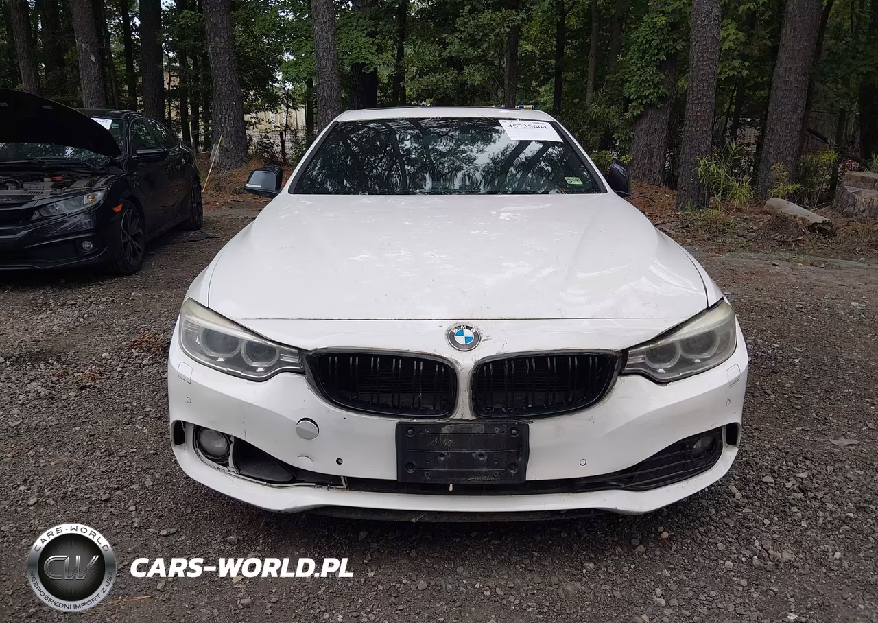 2014 BMW 428I xDrive VIN:WBA3N5C52EF716774 - 12