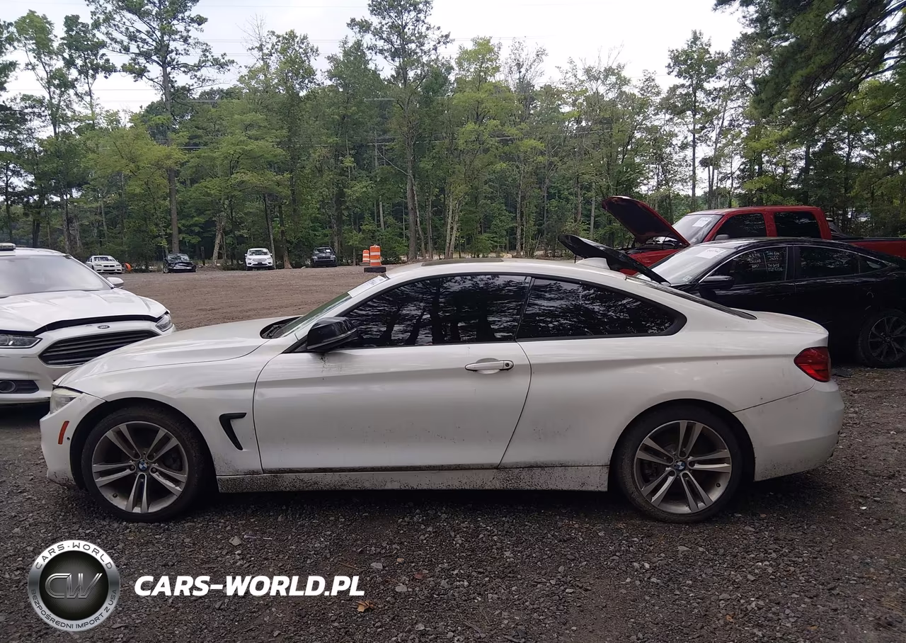 2014 BMW 428I xDrive VIN:WBA3N5C52EF716774 - 14