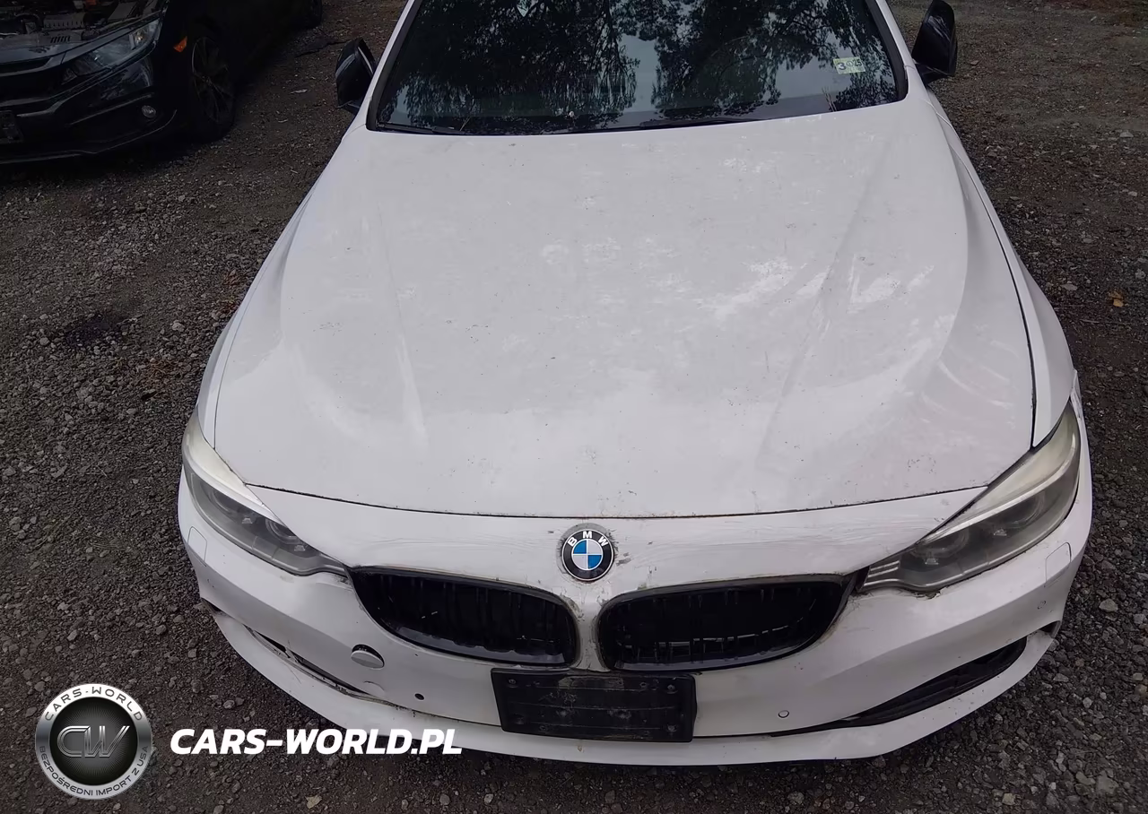 2014 BMW 428I xDrive VIN:WBA3N5C52EF716774 - 6