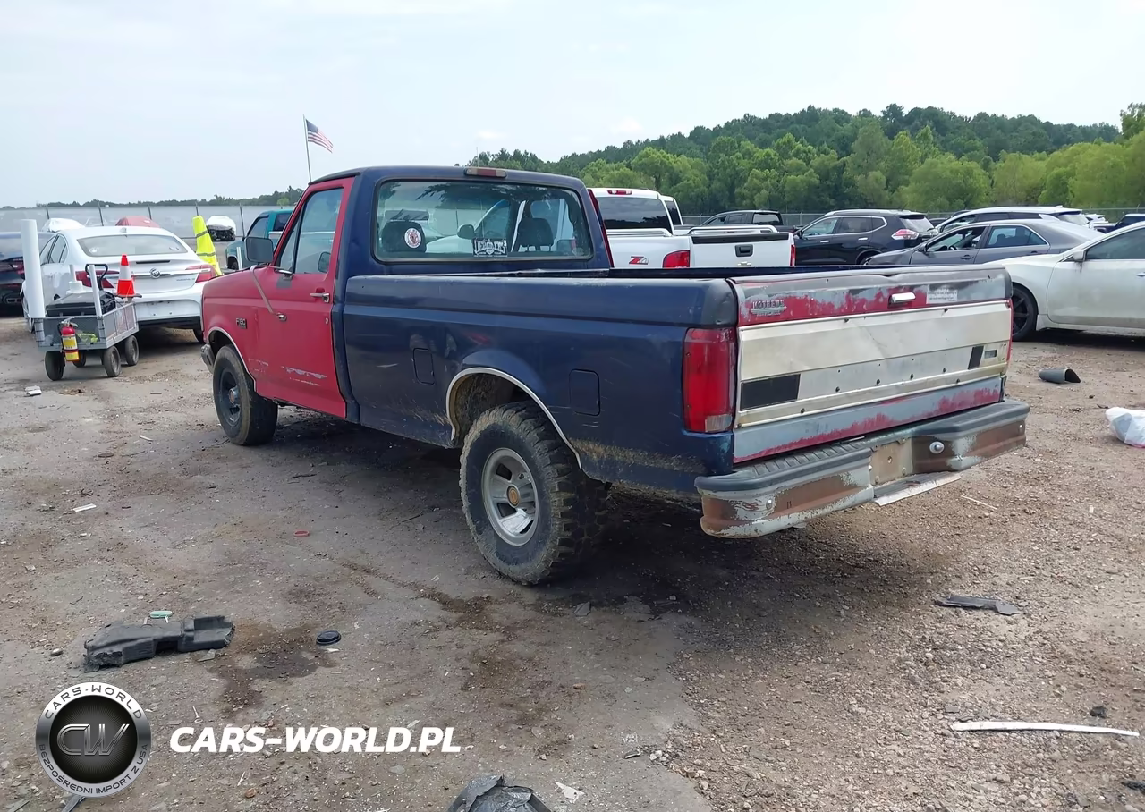 1995 Ford F150 VIN:1FTDF15Y0SLA98811 - 3