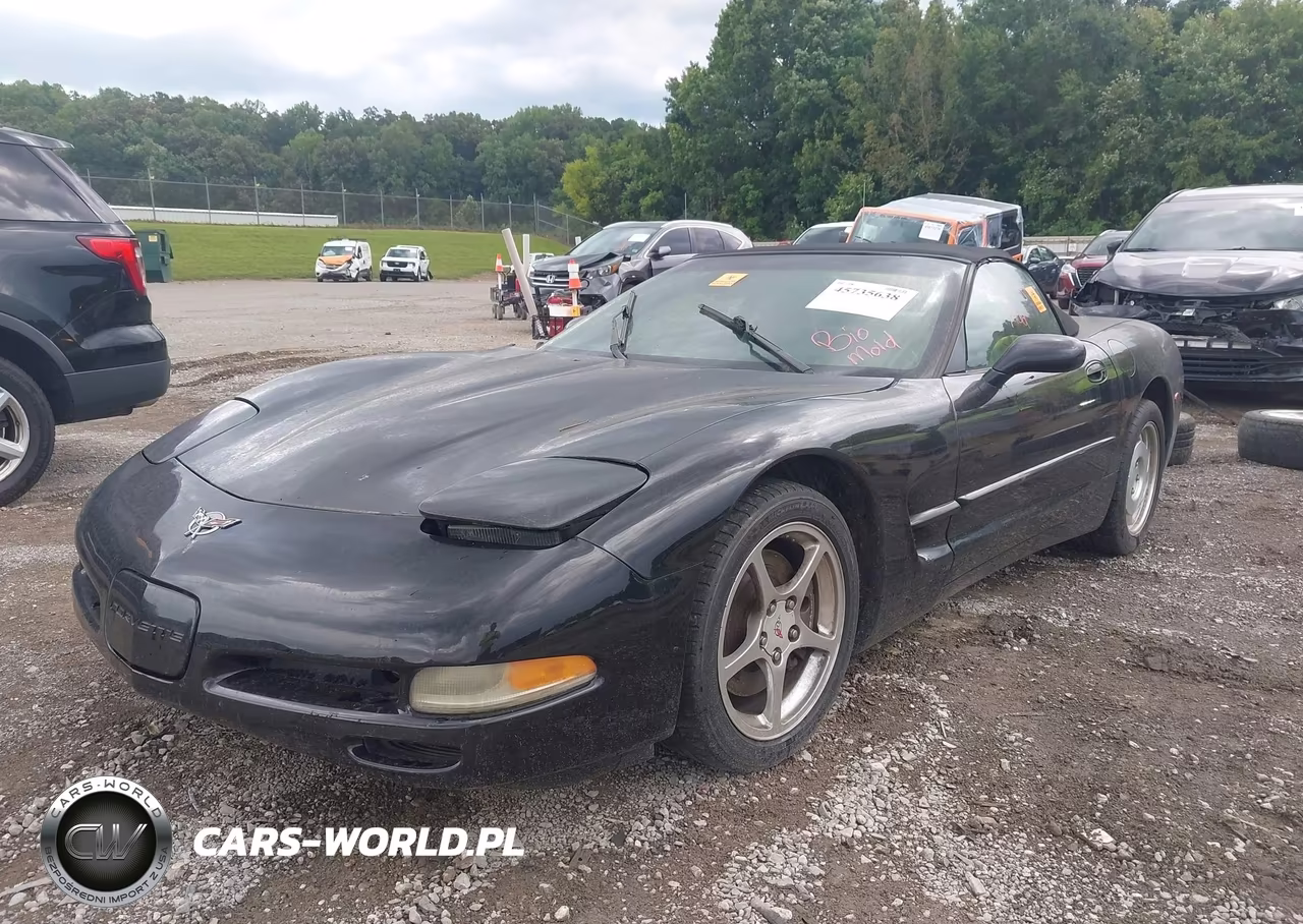 2003 Chevrolet Corvette VIN:1G1YY32G935129152 - 2