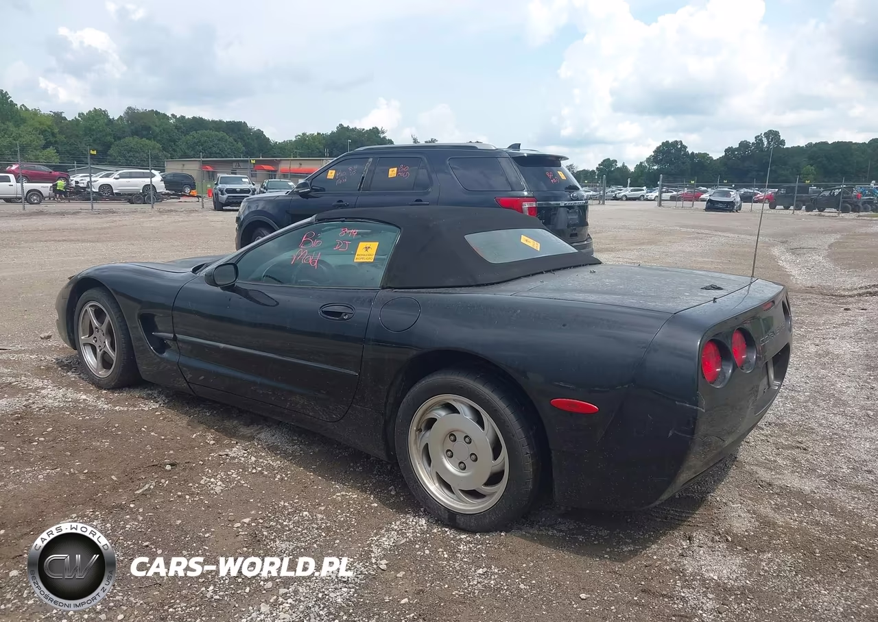 2003 Chevrolet Corvette VIN:1G1YY32G935129152 - 3