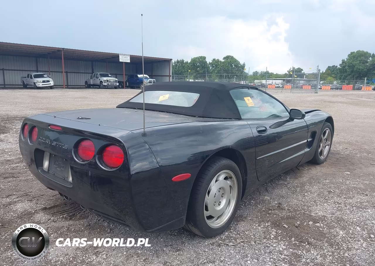 2003 Chevrolet Corvette VIN:1G1YY32G935129152 - 4
