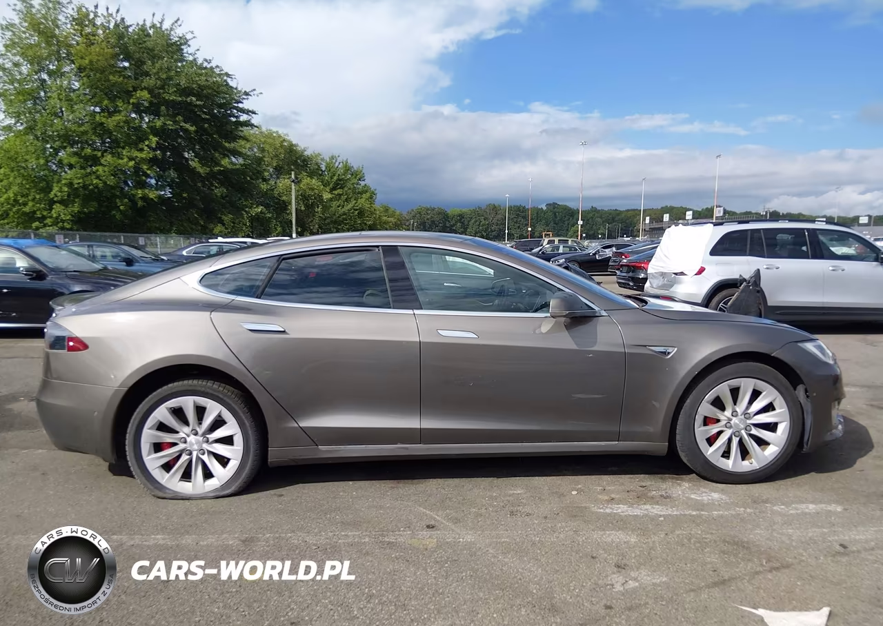 2016 Tesla Model S 90D-P100D-P85D-P90D VIN:5YJSA1E43GF140255 - 12