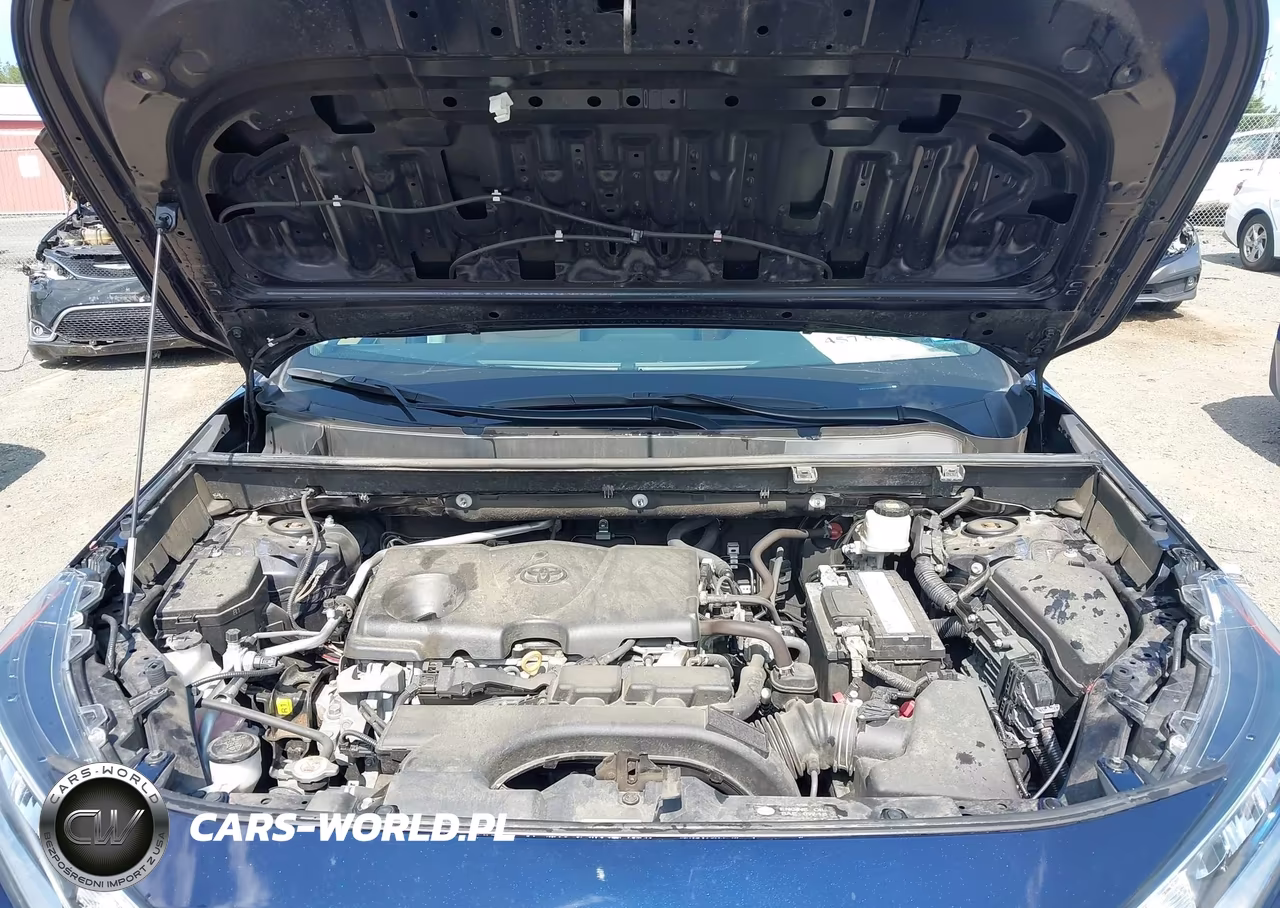 2019 Toyota Rav4 Xle Premium VIN:2T3A1RFV1KW033046 - 10