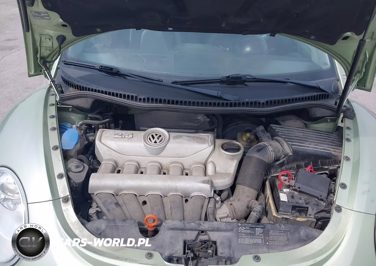 2008 Volkswagen New Beetle S VIN:3VWPW31C08M514055 - 10