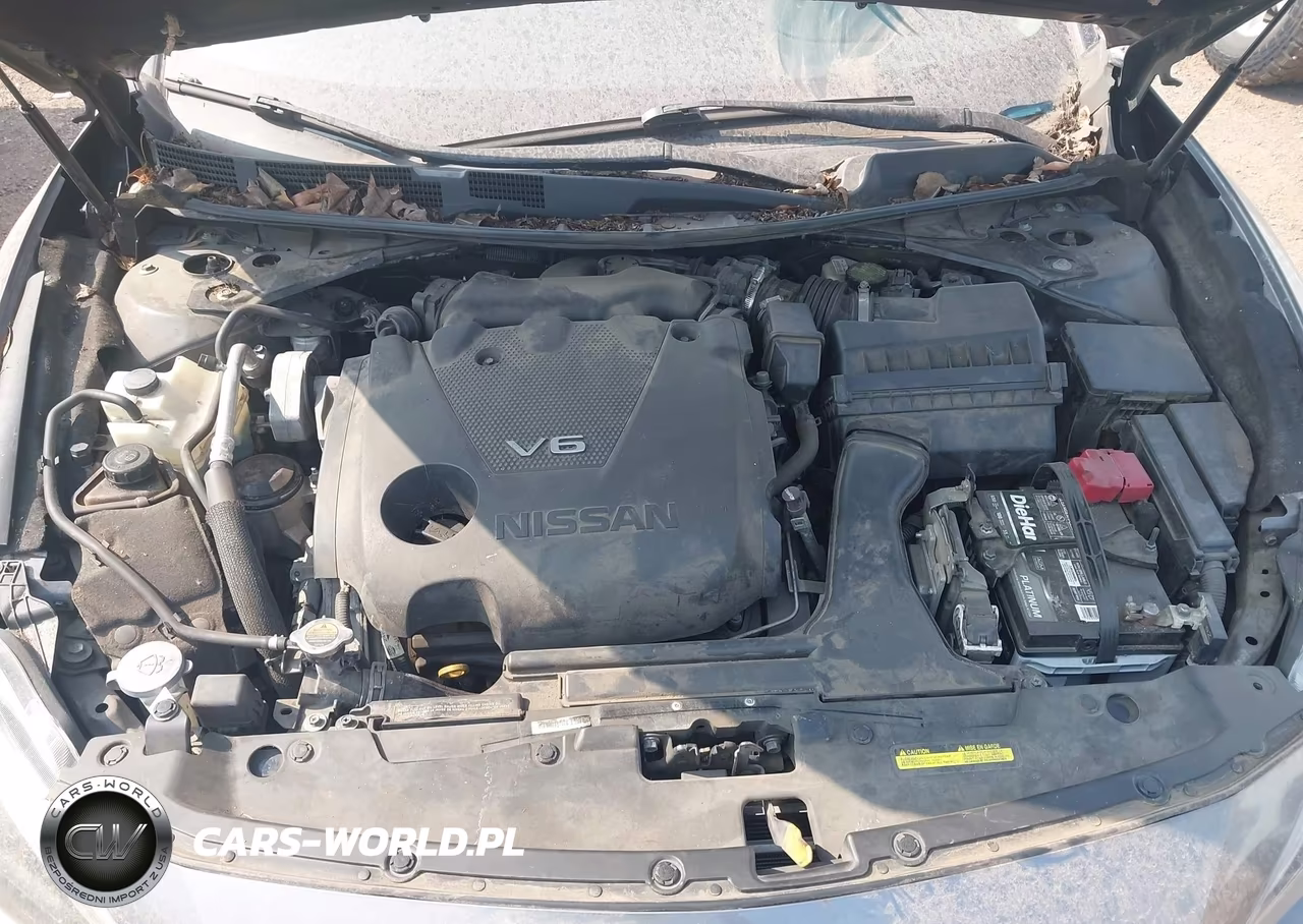 2016 Nissan Maxima 3.5 Sv VIN:1N4AA6AP5GC422800 - 10