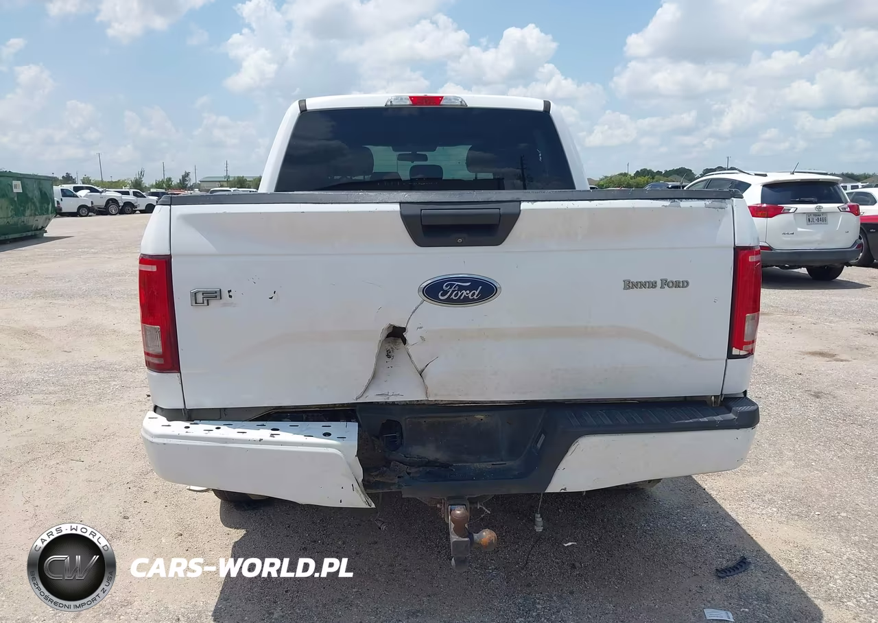 2017 Ford F-150 Xl VIN:1FTEW1CF0HKD69788 - 16