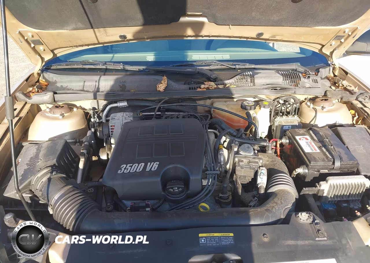 2005 Chevrolet Malibu VIN:1G1ZS52825F199177 - 10