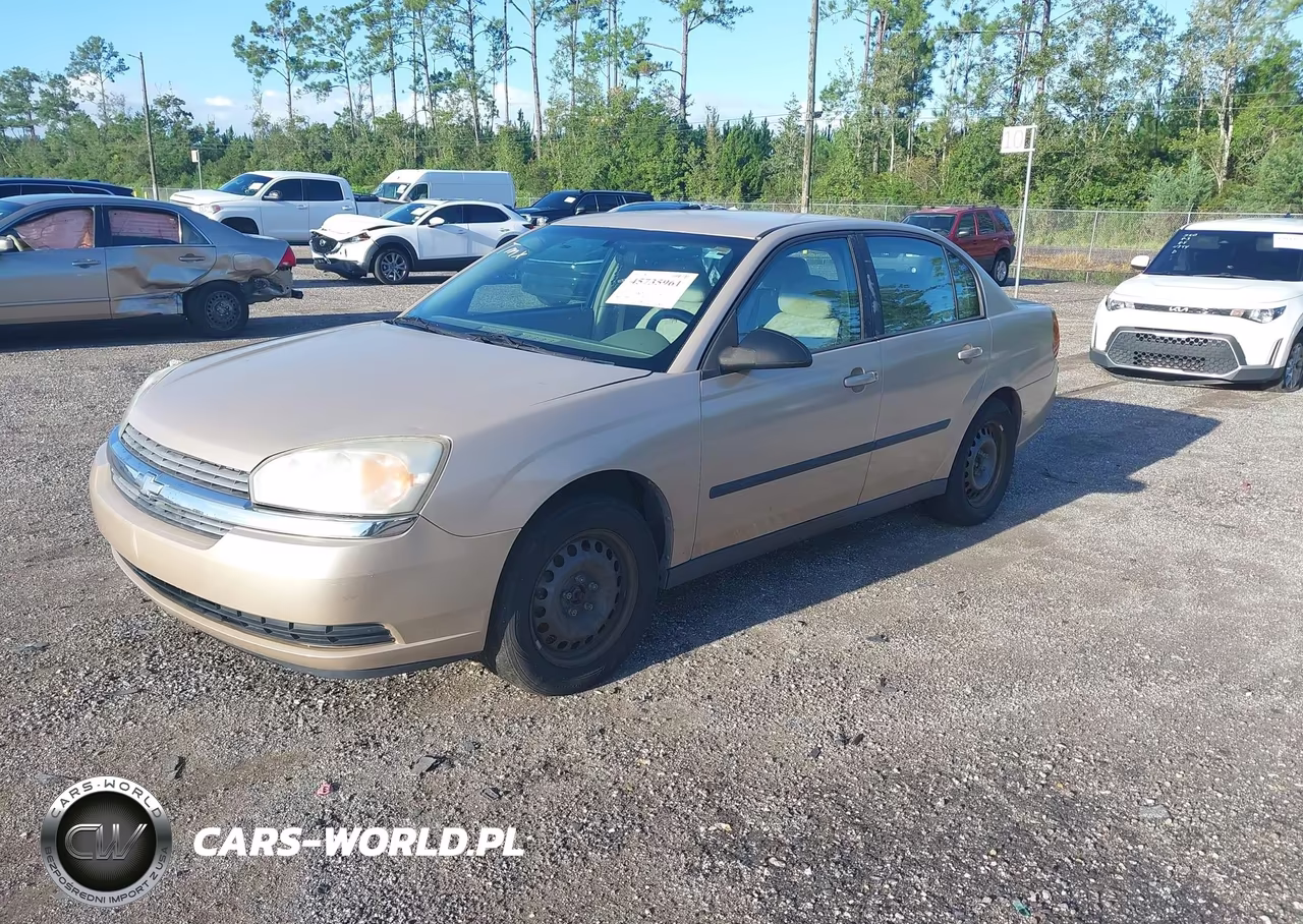2005 Chevrolet Malibu VIN:1G1ZS52825F199177 - 2