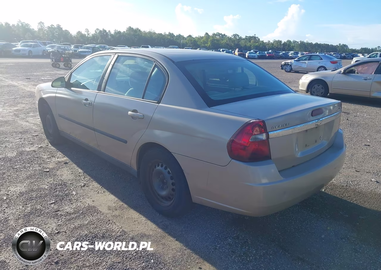 2005 Chevrolet Malibu VIN:1G1ZS52825F199177 - 3