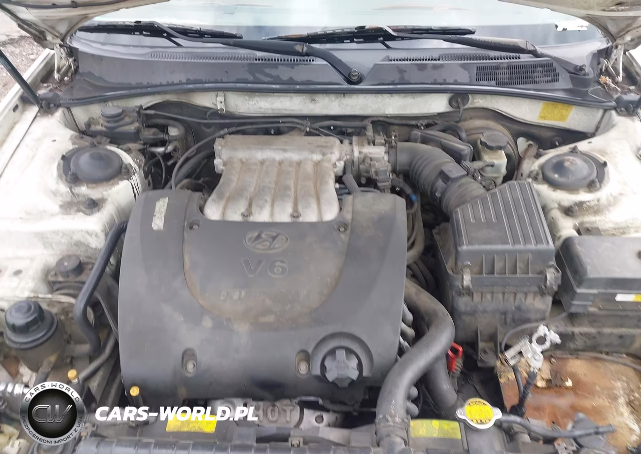 2005 Hyundai Sonata Gls-Lx VIN:KMHWF35H35A126648 - 10