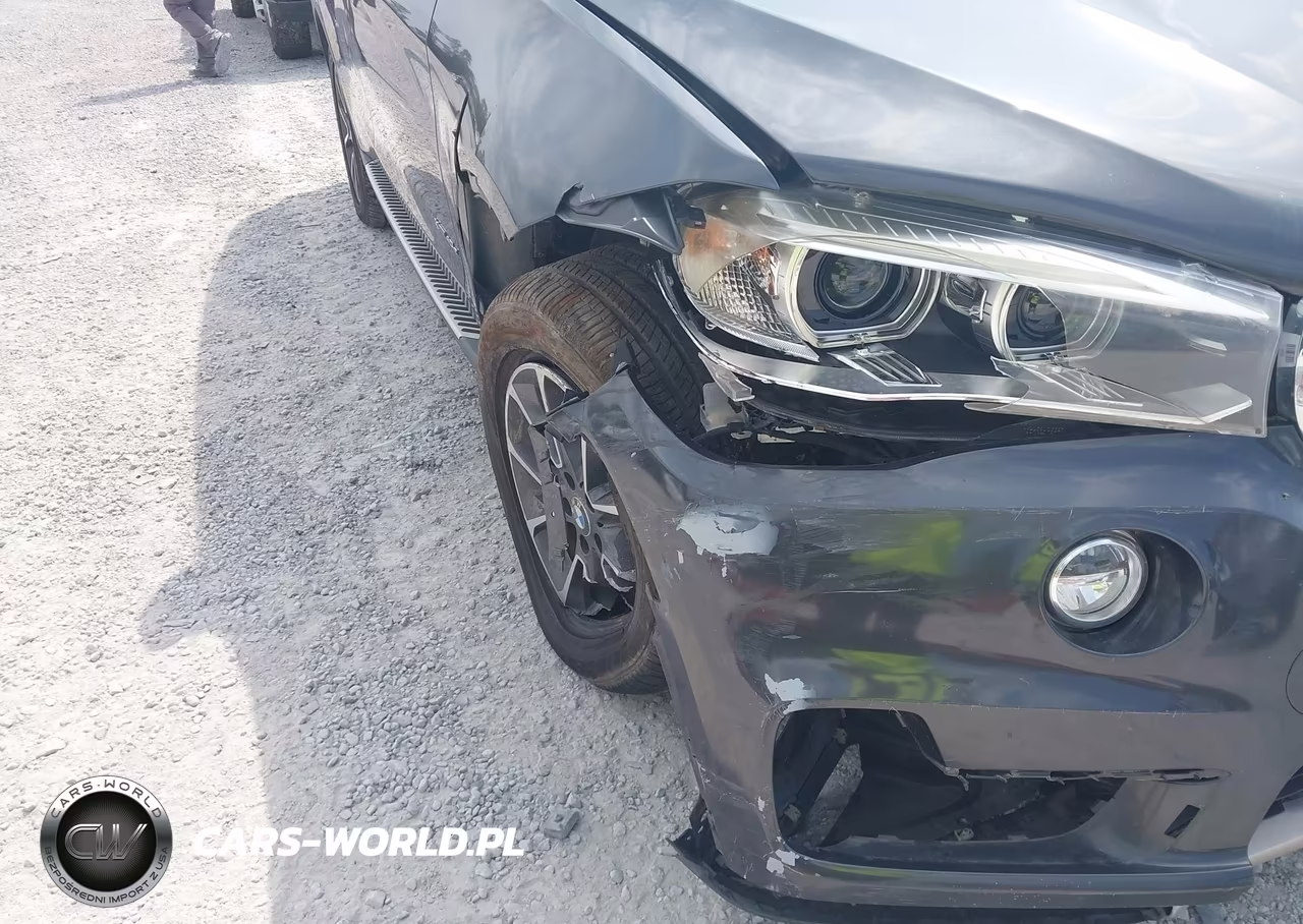2016 BMW X5 Edrive xDrive40E VIN:5UXKT0C55G0S74844 - 17