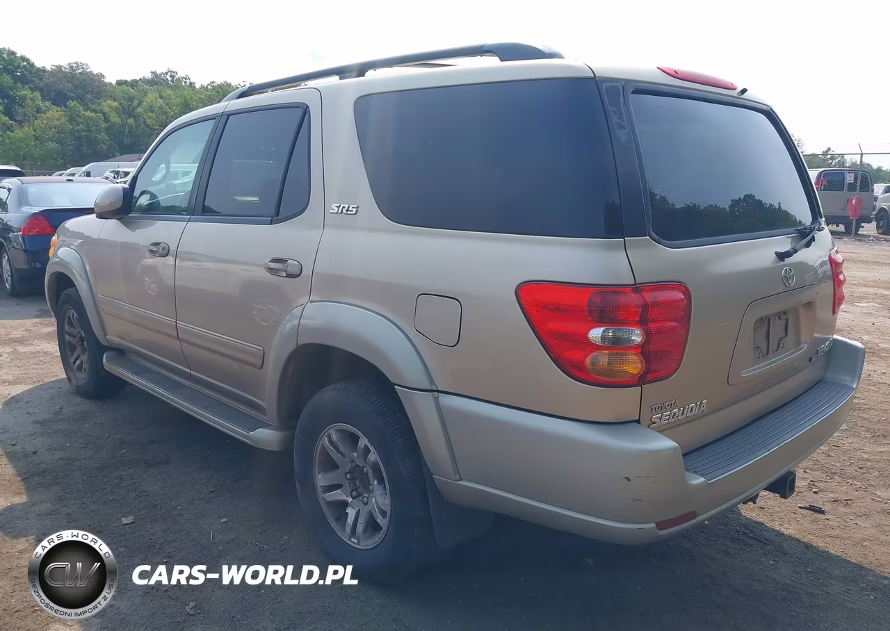 2004 Toyota Sequoia Sr5 V8 VIN:5TDBT44A34S216017 - 3