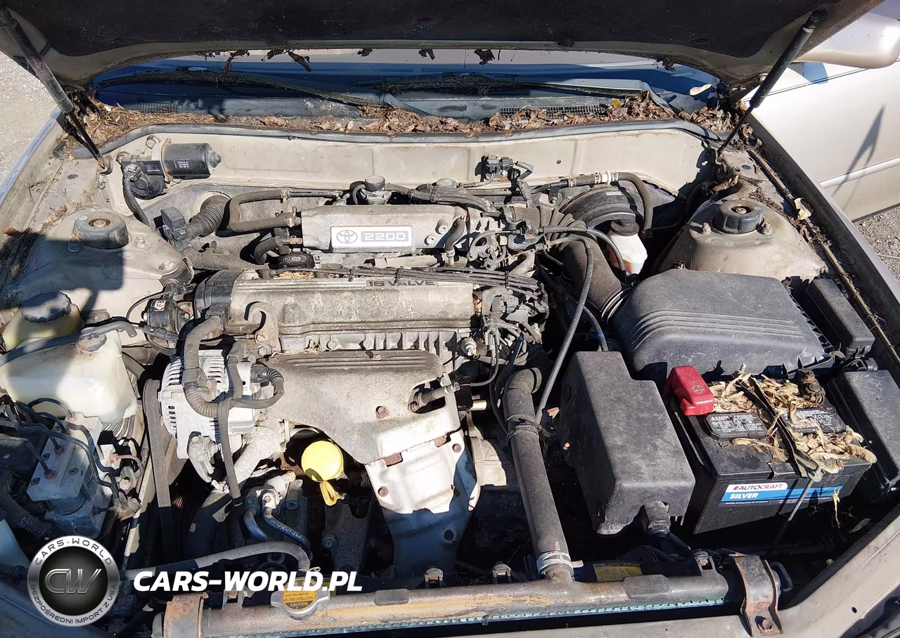 1995 Toyota Camry Xle VIN:4T1SK13E4SU642213 - 10
