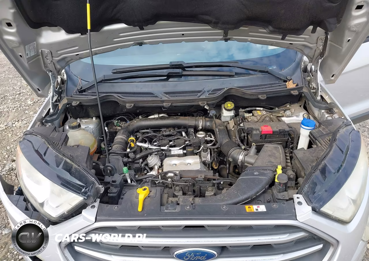 2018 Ford Ecosport Se VIN:MAJ3P1TE0JC163341 - 10