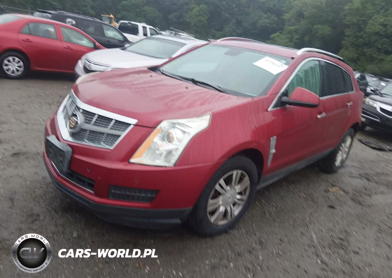 2011 Cadillac Srx Luxury Collection VIN:3GYFNDEY9BS626637 - 2