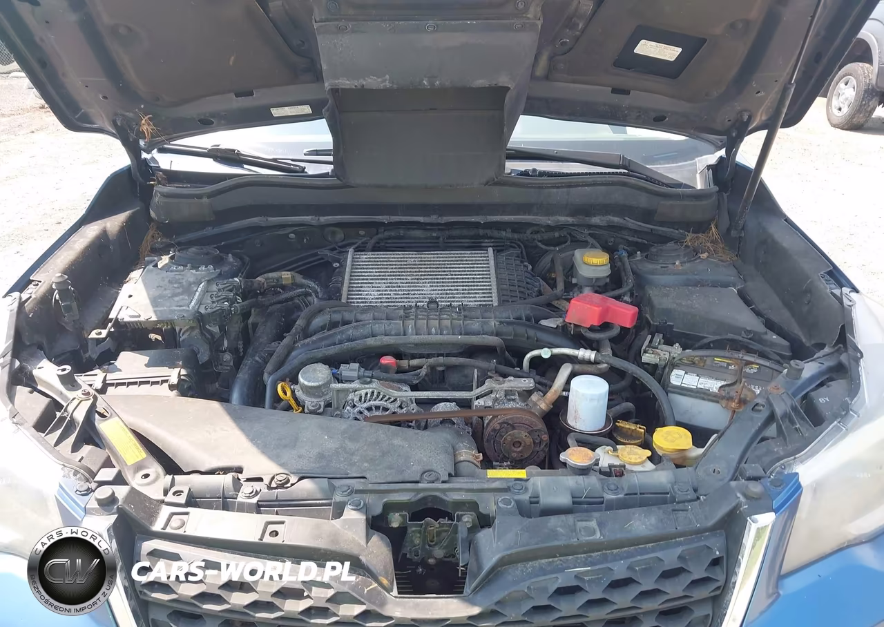 2015 Subaru Forester 2.0Xt Touring VIN:JF2SJGUC4FH507689 - 10