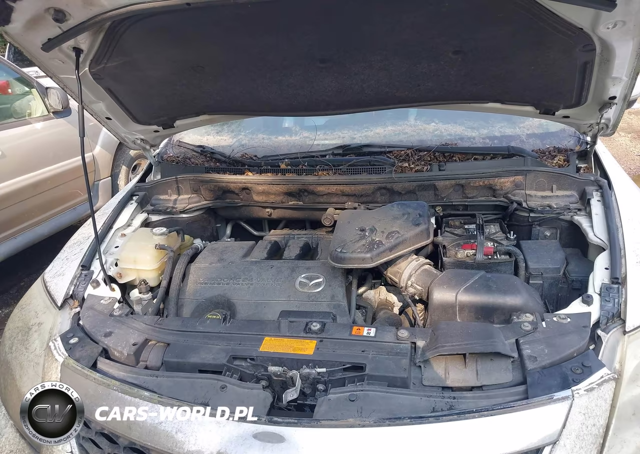 2011 Mazda Cx-9 Grand Touring VIN:JM3TB3DV4B0325985 - 10