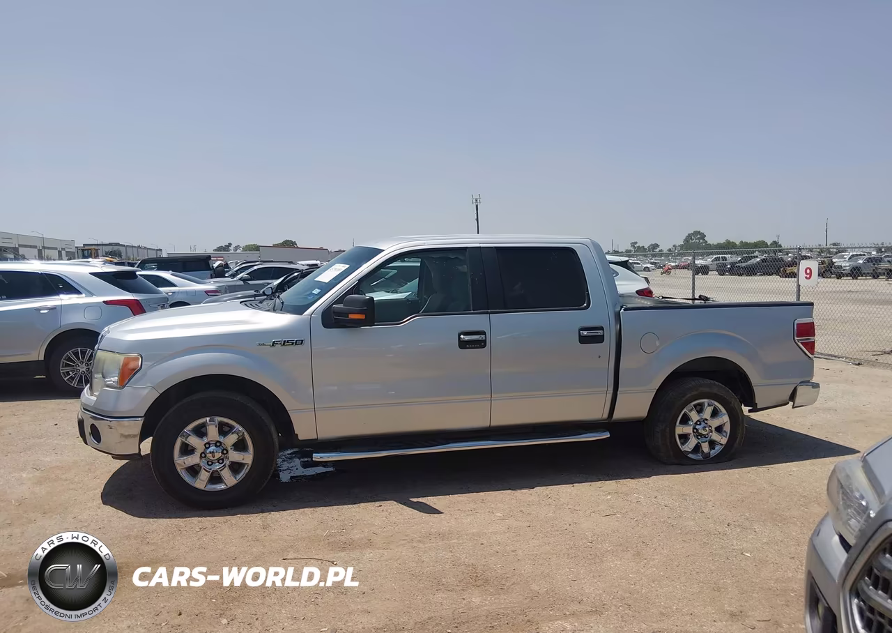 2014 Ford F-150 Xlt VIN:1FTFW1CF7EKG46338 - 13