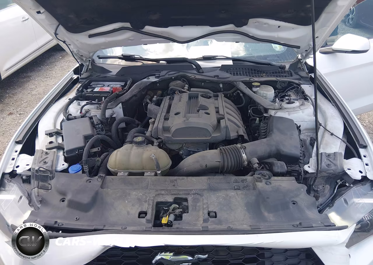2020 Ford Mustang Ecoboost Premium VIN:1FATP8UH1L5132317 - 10