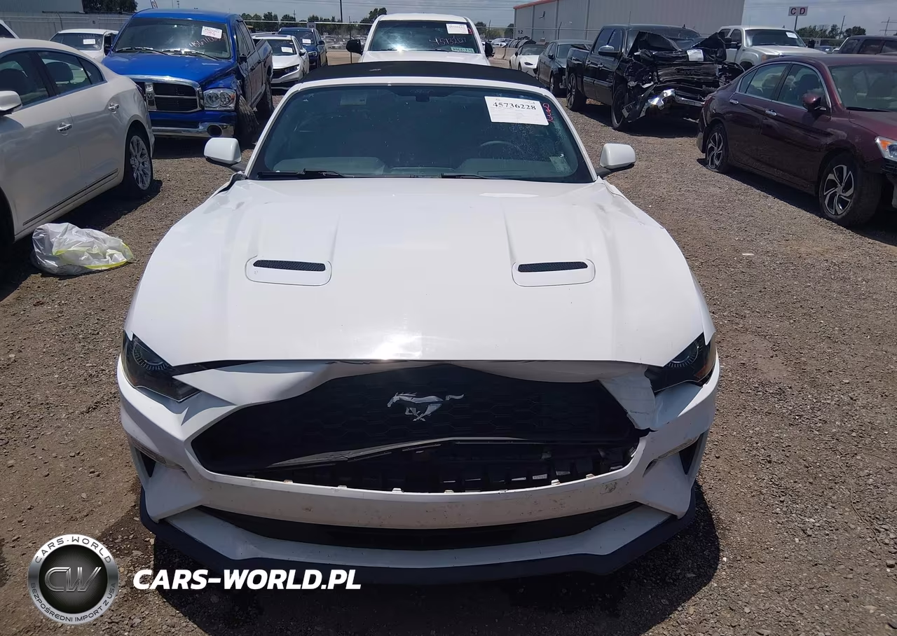 2020 Ford Mustang Ecoboost Premium VIN:1FATP8UH1L5132317 - 12