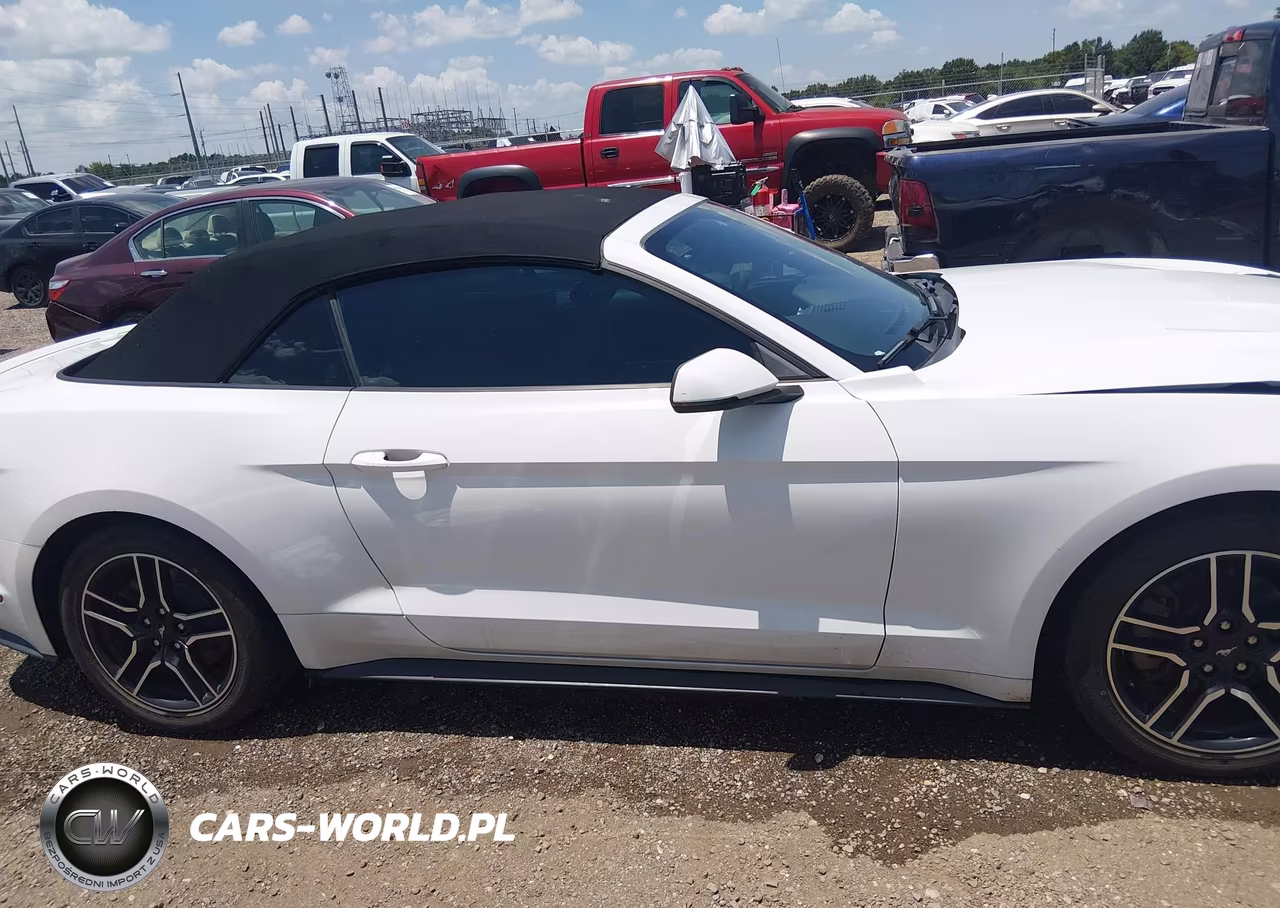 2020 Ford Mustang Ecoboost Premium VIN:1FATP8UH1L5132317 - 13