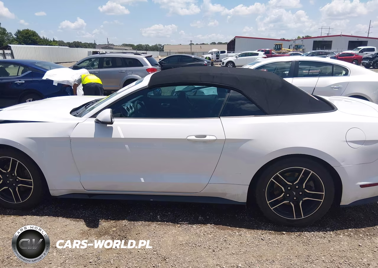 2020 Ford Mustang Ecoboost Premium VIN:1FATP8UH1L5132317 - 14