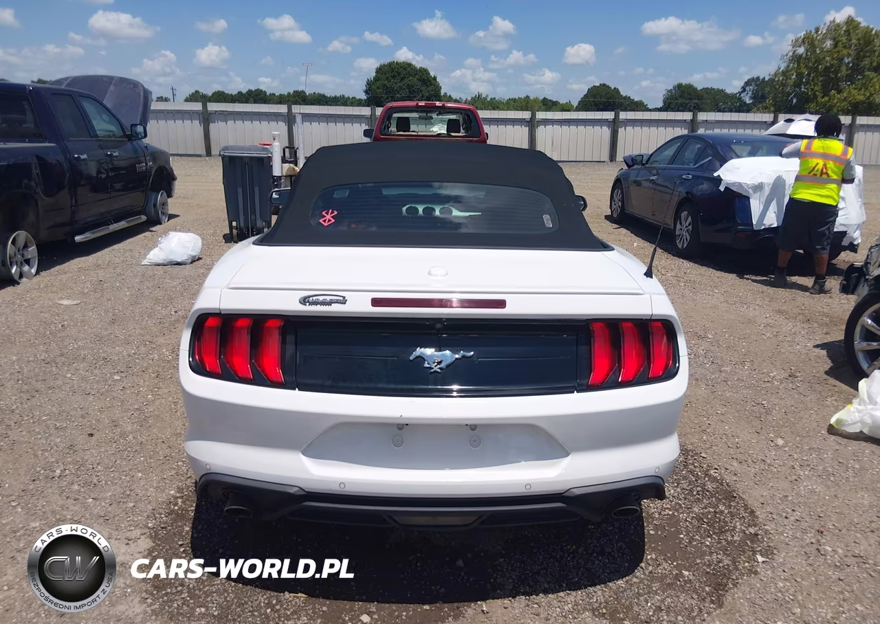 2020 Ford Mustang Ecoboost Premium VIN:1FATP8UH1L5132317 - 16